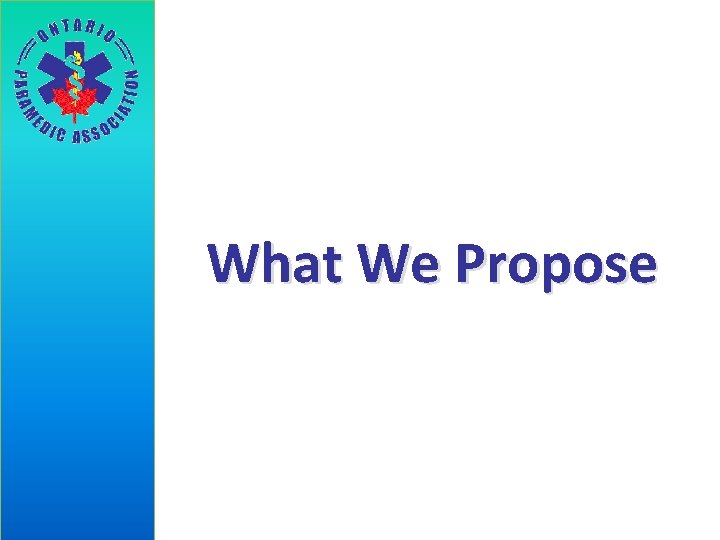 What We Propose 