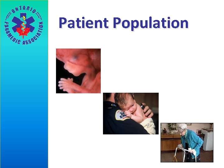 Patient Population 