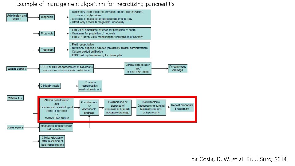 Example of management algorithm for necrotizing pancreatitis da Costa, D. W. et al. Br.