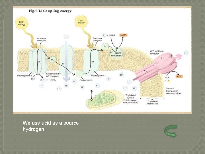 We use acid as a source hydrogen 