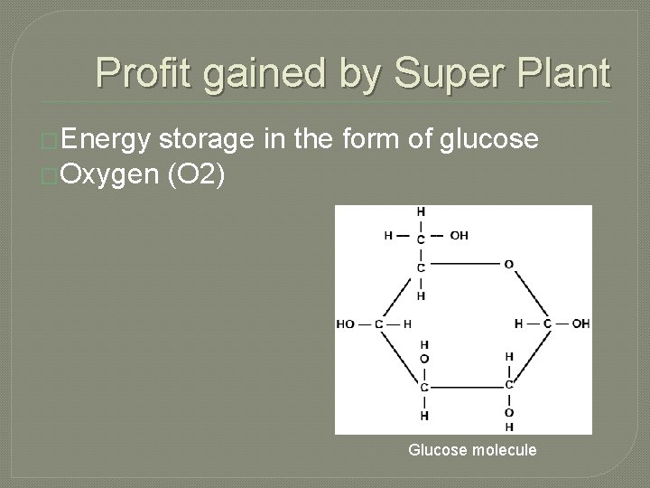 Profit gained by Super Plant �Energy storage in the form of glucose �Oxygen (O