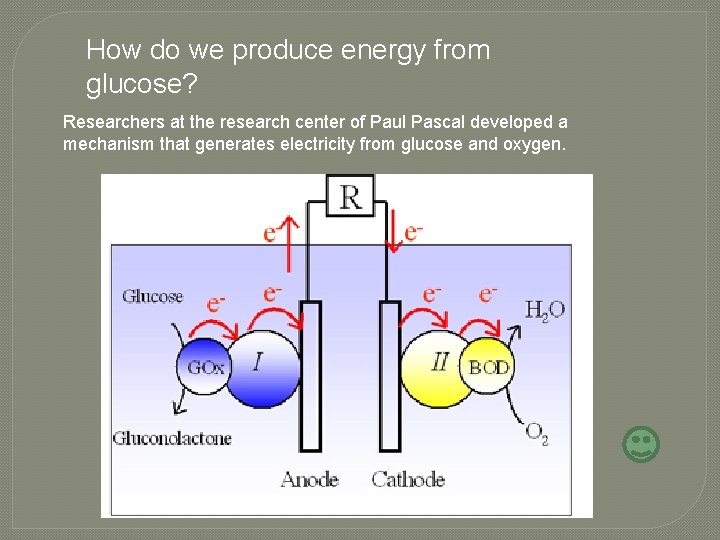 How do we produce energy from glucose? Researchers at the research center of Paul