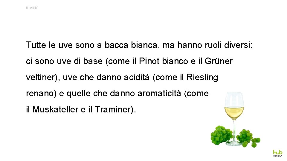 IL VINO Tutte le uve sono a bacca bianca, ma hanno ruoli diversi: ci