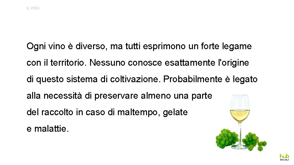 IL VINO Ogni vino è diverso, ma tutti esprimono un forte legame con il