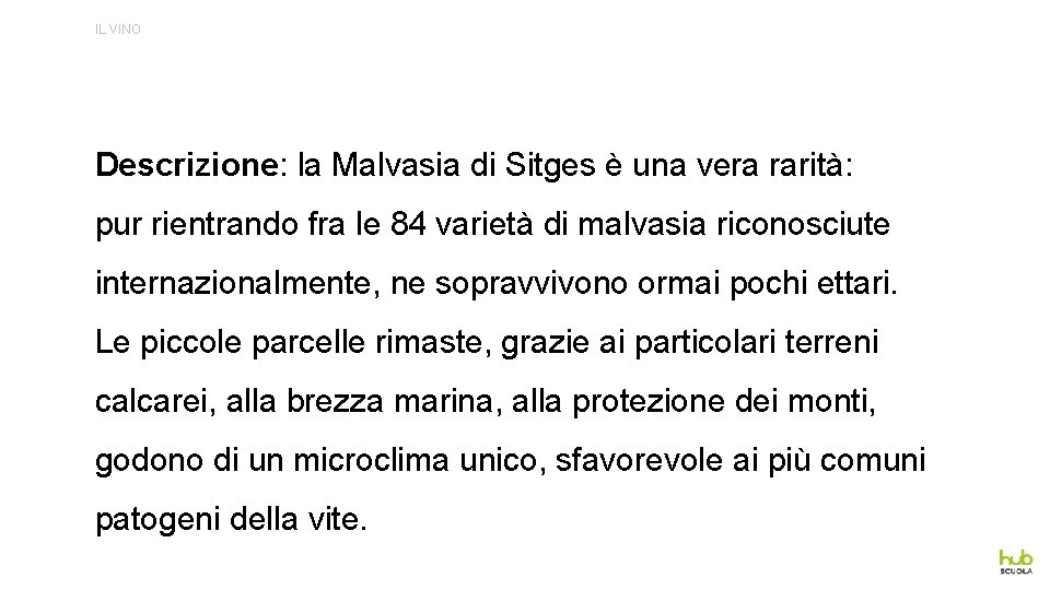 IL VINO Descrizione: la Malvasia di Sitges è una vera rarità: pur rientrando fra