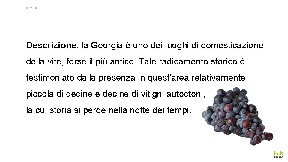 IL VINO Descrizione: la Georgia è uno dei luoghi di domesticazione della vite, forse