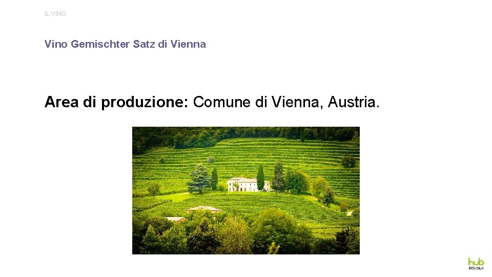 IL VINO Vino Gemischter Satz di Vienna Area di produzione: Comune di Vienna, Austria.
