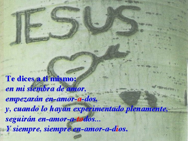 Te dices a ti mismo: en mi siembra de amor, empezarán en-amor-a-dos, y, cuando