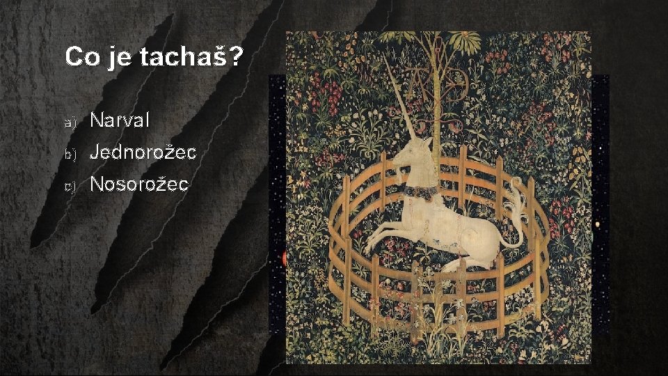 Co je tachaš? b) Narval Jednorožec c) Nosorožec a) 