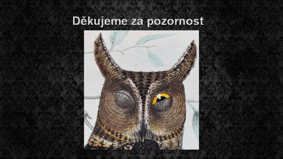 Děkujeme za pozornost 