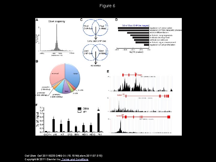 Figure 6 Cell Stem Cell 2011 9233 -246 DOI: (10. 1016/j. stem. 2011. 07.