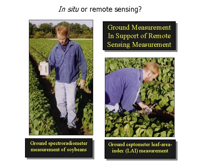 In situ or remote sensing? Ground Measurement In Support of Remote Sensing Measurement Ground