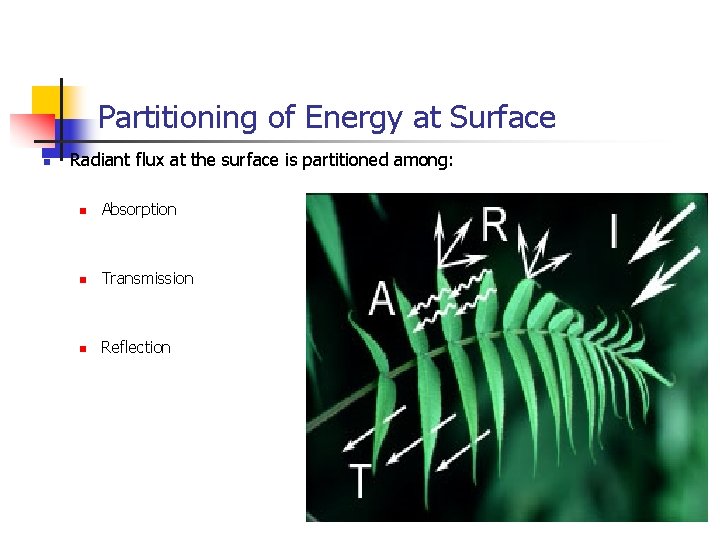 Partitioning of Energy at Surface n Radiant flux at the surface is partitioned among: