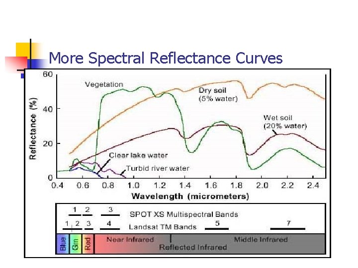 More Spectral Reflectance Curves 