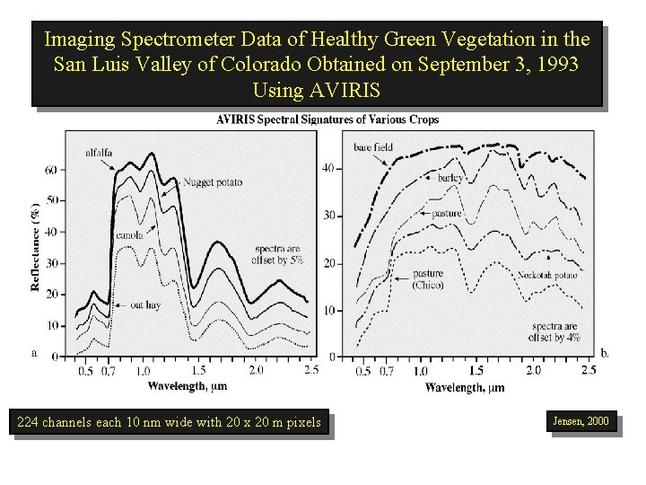 Imaging Spectrometer Data of Healthy Green Vegetation in the San Luis Valley of Colorado