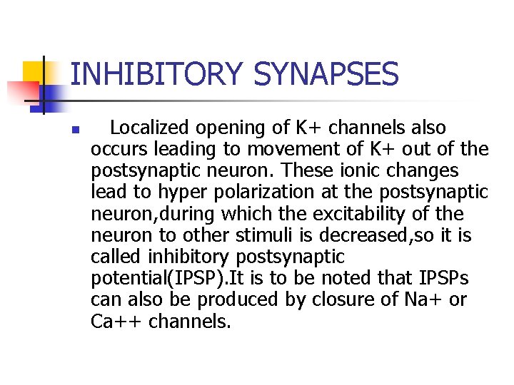 INHIBITORY SYNAPSES n Localized opening of K+ channels also occurs leading to movement of