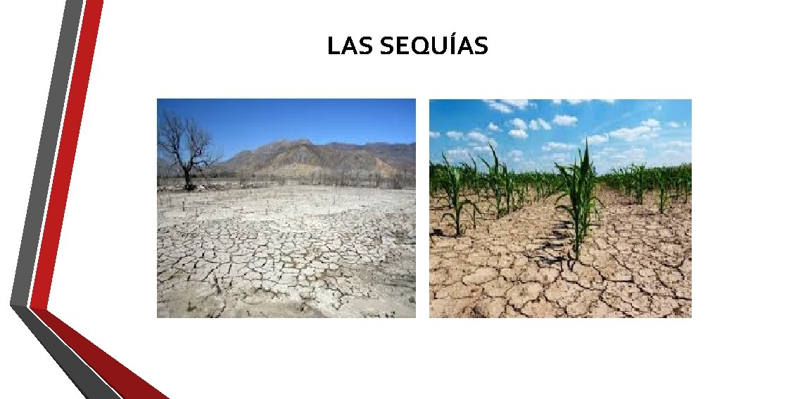 LAS SEQUÍAS LAS SEQUÍAS