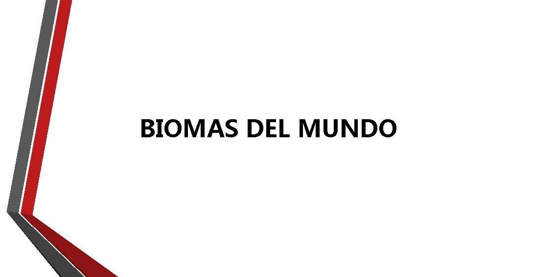 BIOMAS DEL MUNDO BIOMAS DEL MUNDO
