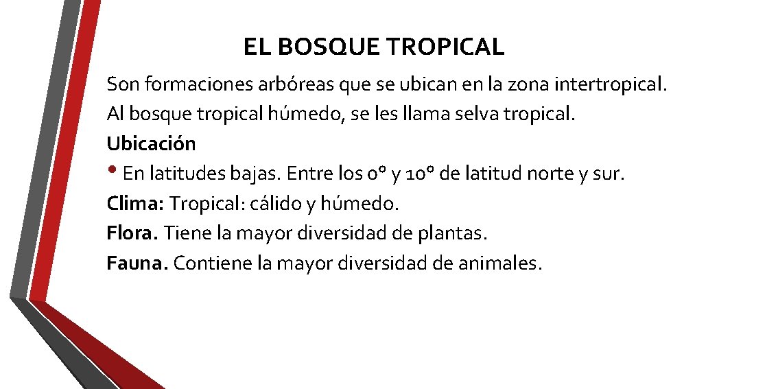 EL BOSQUE TROPICAL Son formaciones arbóreas que se ubican en la zona intertropical. Al EL BOSQUE TROPICAL Son formaciones arbóreas que se ubican en la zona intertropical. Al