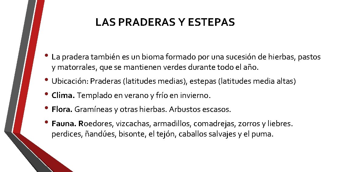 LAS PRADERAS Y ESTEPAS • La pradera también es un bioma formado por una LAS PRADERAS Y ESTEPAS • La pradera también es un bioma formado por una