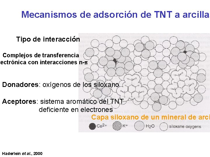 Mecanismos de adsorción de TNT a arcillas Tipo de interacción Complejos de transferencia lectrónica
