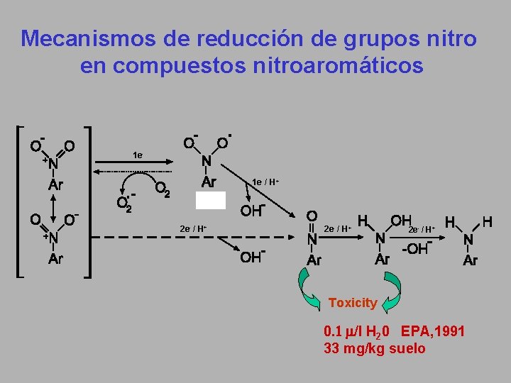 Mecanismos de reducción de grupos nitro en compuestos nitroaromáticos 1 e 1 e- /