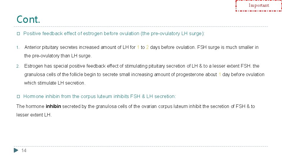 Important Cont. � Positive feedback effect of estrogen before ovulation (the pre-ovulatory LH surge):