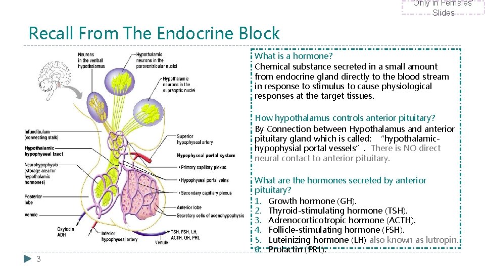 Only in Females’ Slides Recall From The Endocrine Block What is a hormone? Chemical