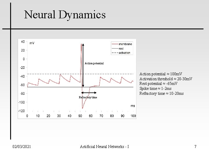 Neural Dynamics Action potential Refractory time 02/03/2021 Artificial Neural Networks - I Action potential