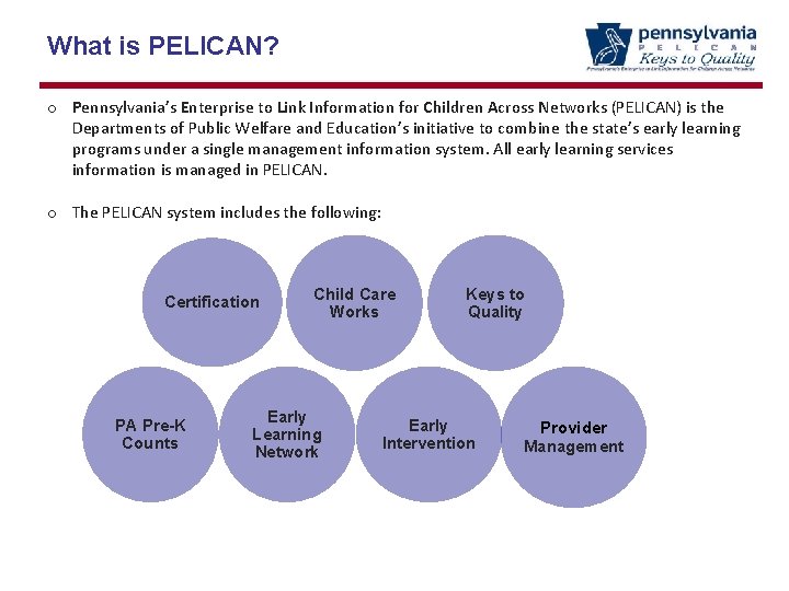 What is PELICAN? o Pennsylvania’s Enterprise to Link Information for Children Across Networks (PELICAN)