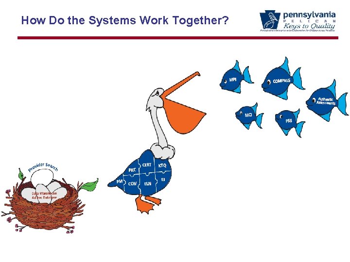 How Do the Systems Work Together? 