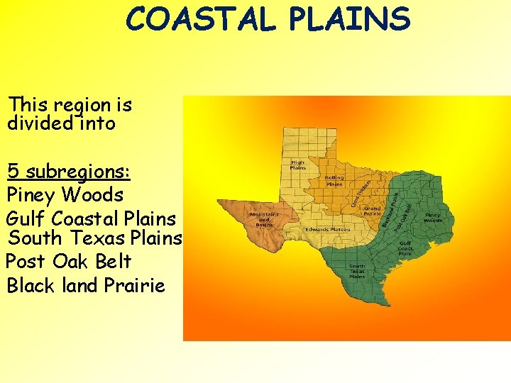 COASTAL PLAINS This region is divided into 5 subregions: Piney Woods Gulf Coastal Plains