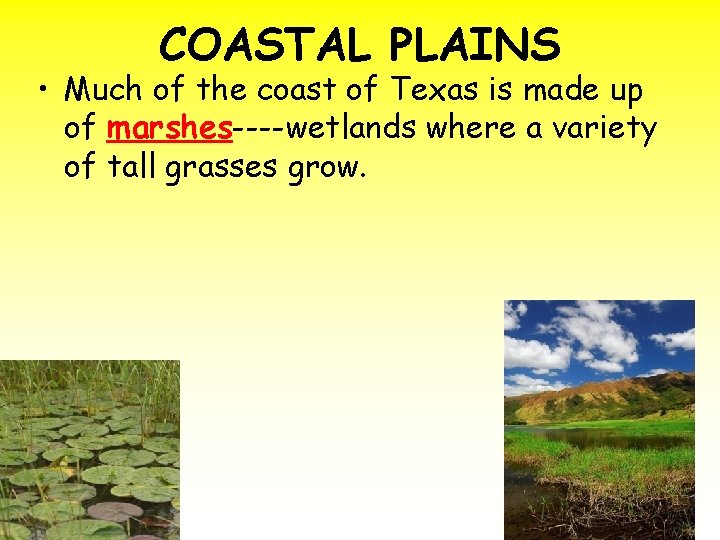 COASTAL PLAINS • Much of the coast of Texas is made up of marshes----wetlands