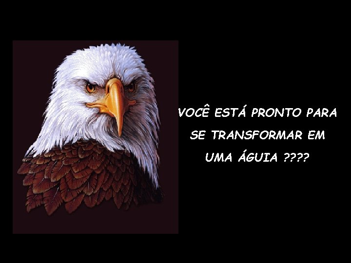 VOCÊ ESTÁ PRONTO PARA SE TRANSFORMAR EM UMA ÁGUIA ? ? 