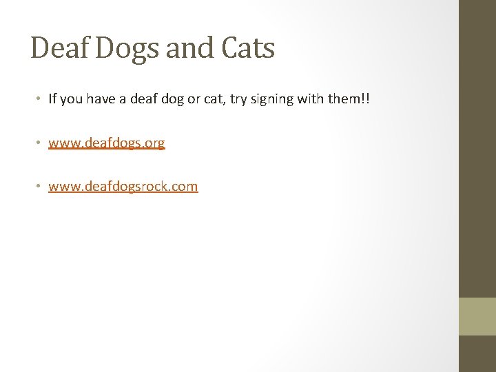 Deaf Dogs and Cats • If you have a deaf dog or cat, try