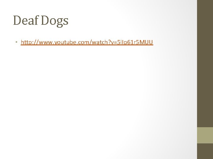 Deaf Dogs • http: //www. youtube. com/watch? v=5 l. Ip 61 r 5 MUU