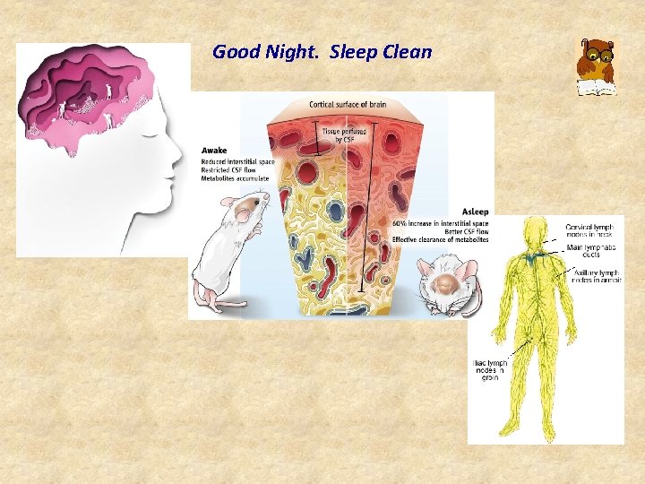 Good Night. Sleep Clean 