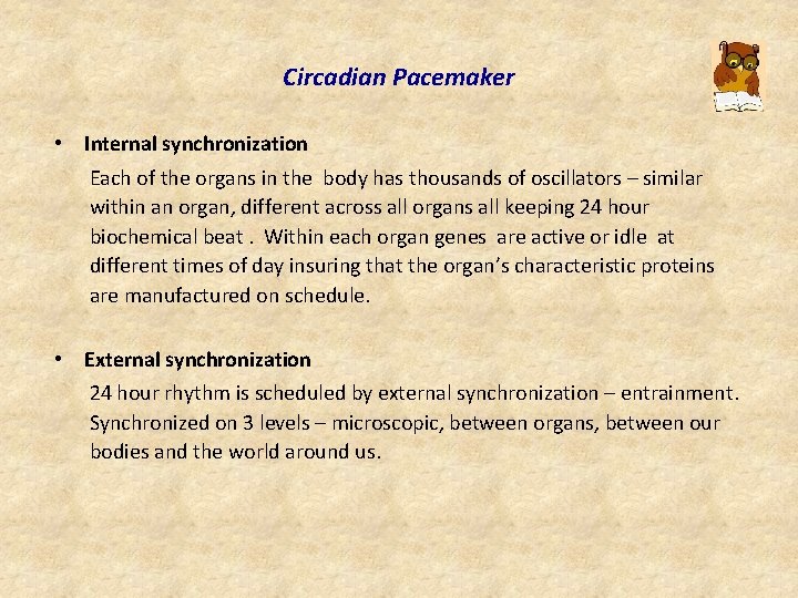 Circadian Pacemaker • Internal synchronization Each of the organs in the body has thousands