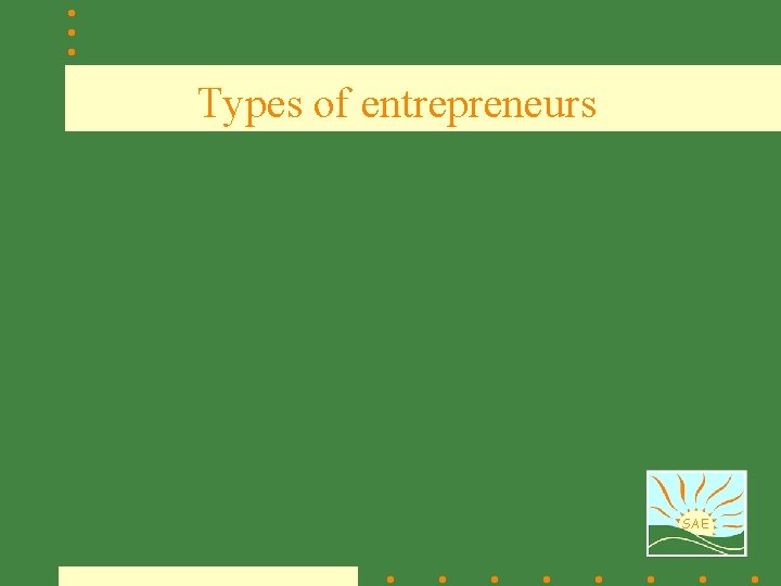 Types of entrepreneurs SAE 