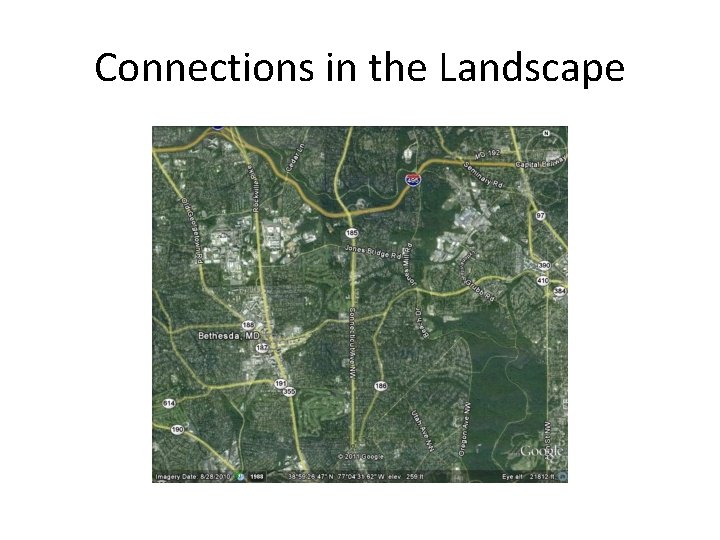 Connections in the Landscape 
