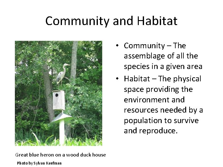 Community and Habitat • Community – The assemblage of all the species in a