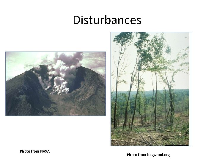 Disturbances Photo from NASA Photo from bugwood. org 