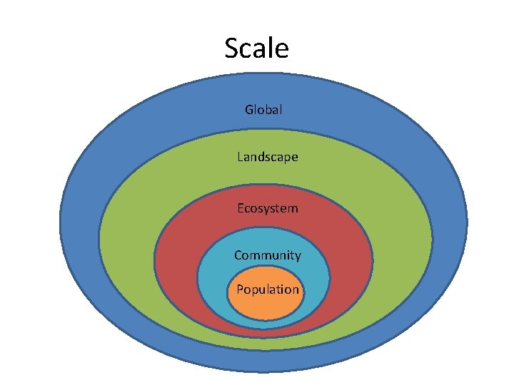 Scale Global Landscape Ecosystem Community Population 
