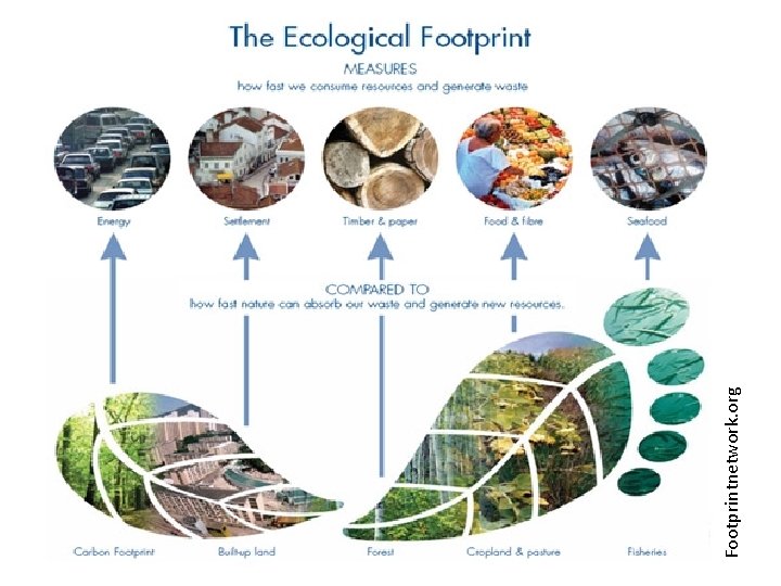 Footprintnetwork. org 