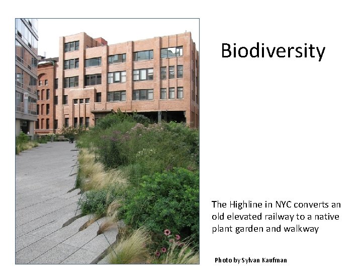 Biodiversity The Highline in NYC converts an old elevated railway to a native plant