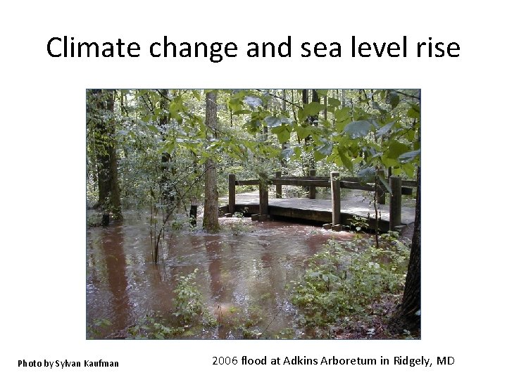 Climate change and sea level rise Photo by Sylvan Kaufman 2006 flood at Adkins