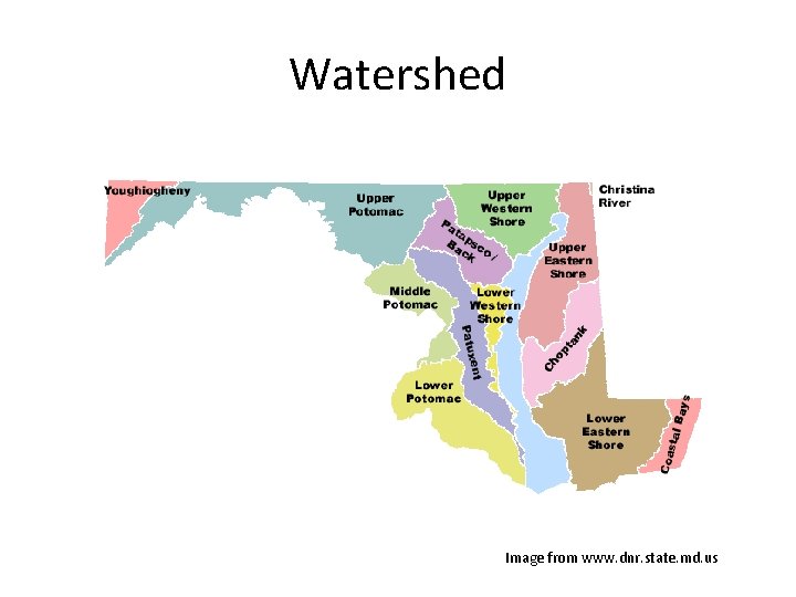 Watershed Image from www. dnr. state. md. us 