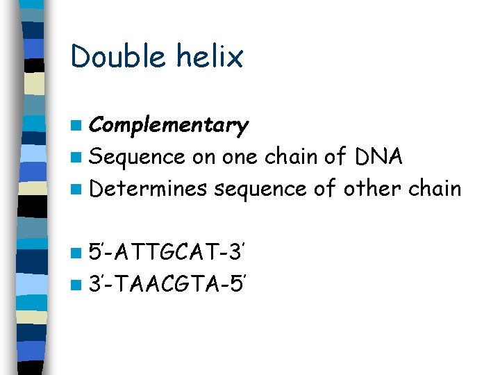 Double helix n Complementary n Sequence on one chain of DNA n Determines sequence Double helix n Complementary n Sequence on one chain of DNA n Determines sequence