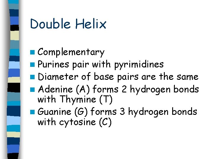 Double Helix n Complementary n Purines pair with pyrimidines n Diameter of base pairs Double Helix n Complementary n Purines pair with pyrimidines n Diameter of base pairs