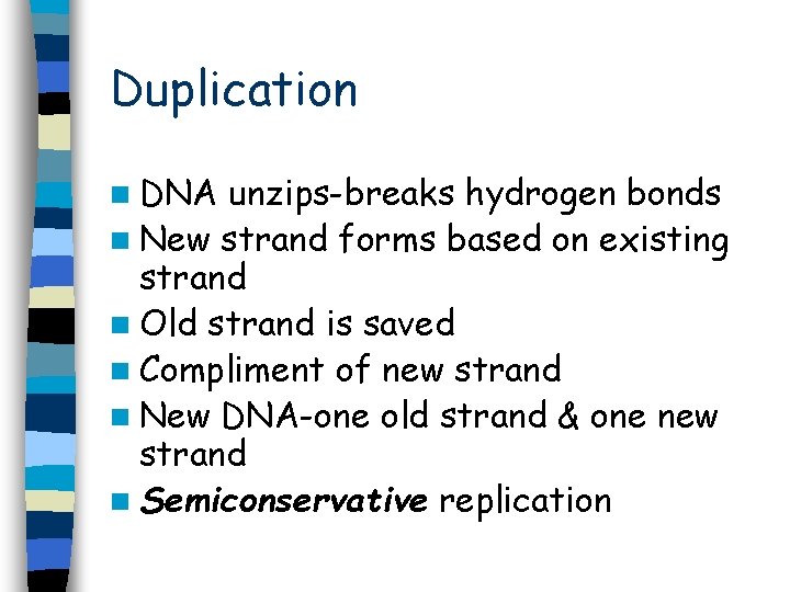 Duplication n DNA unzips-breaks hydrogen bonds n New strand forms based on existing strand Duplication n DNA unzips-breaks hydrogen bonds n New strand forms based on existing strand